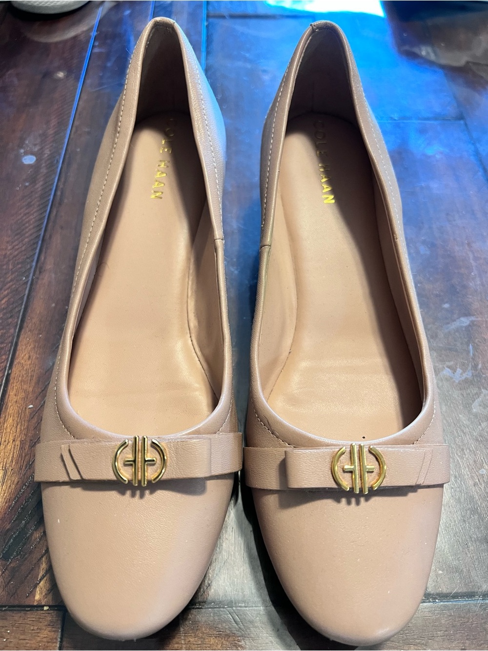 Cole Haan Blush Leather Ballet Flats with Gold Logo